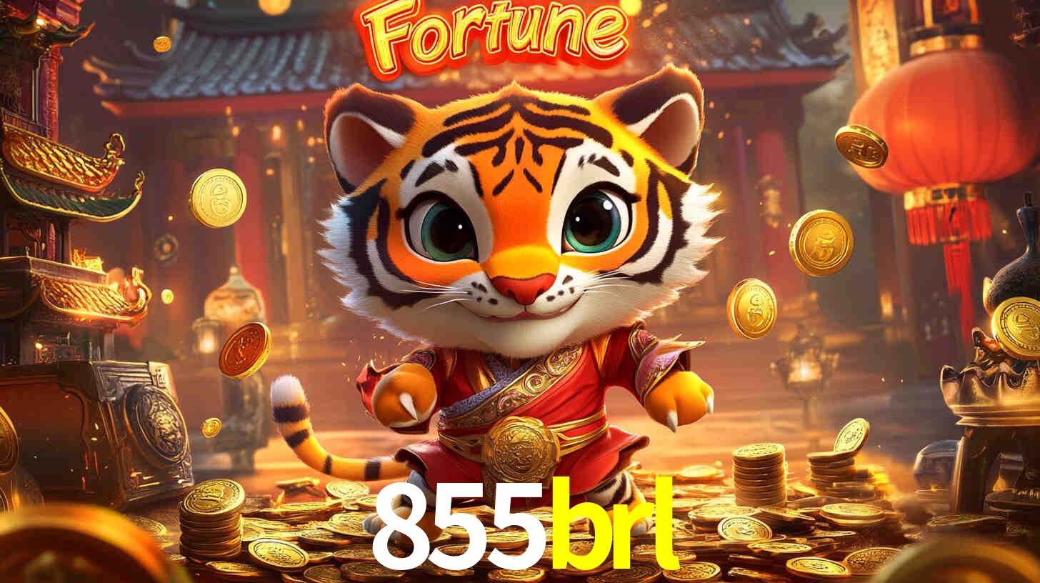 Casino VIP 855brl