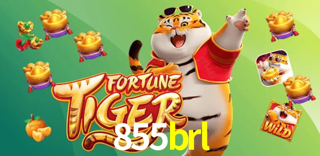 Sports Statistics 855brl